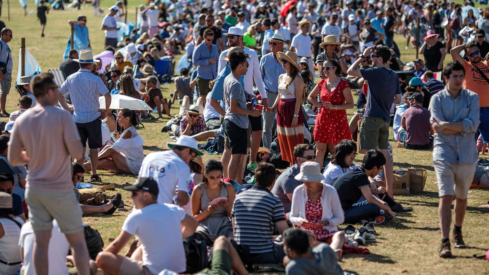 當地球迷的 當地球迷的